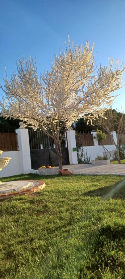 La Espiga Villa Валадоид Екстериор снимка
